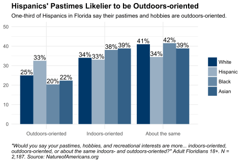 Graph depicting orientation in adults' pastimes, hobbies, and interests in Florida, by race and ethnicity