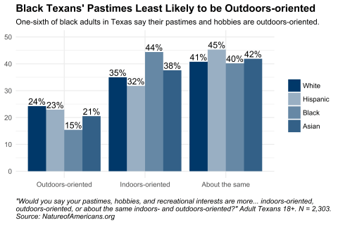 Graph depicting orientation in adults' pastimes, hobbies, and interests in Texas, by race and ethnicity